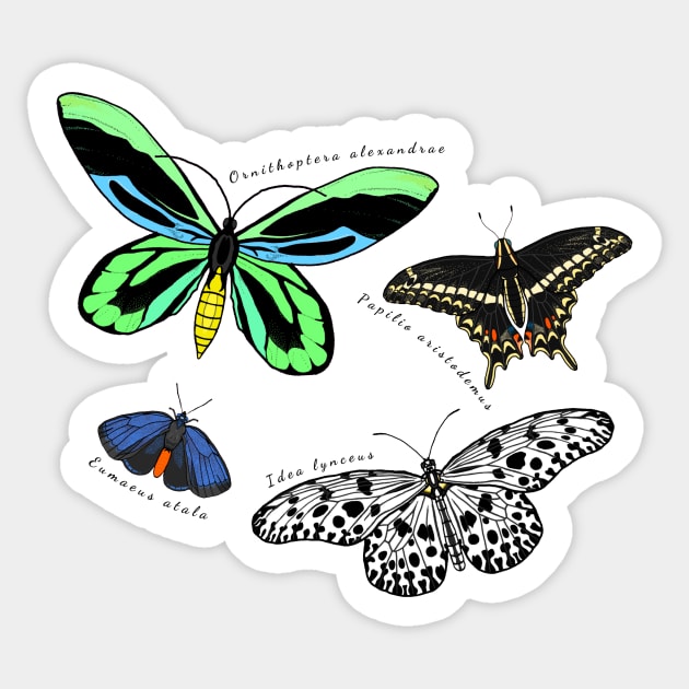 Endangered Butterflies Sticker by OTLArtwork